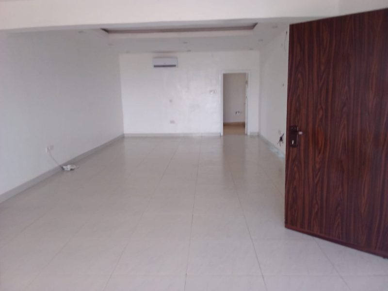 2 Bedroom Penthouse Apartment. Victoria Island