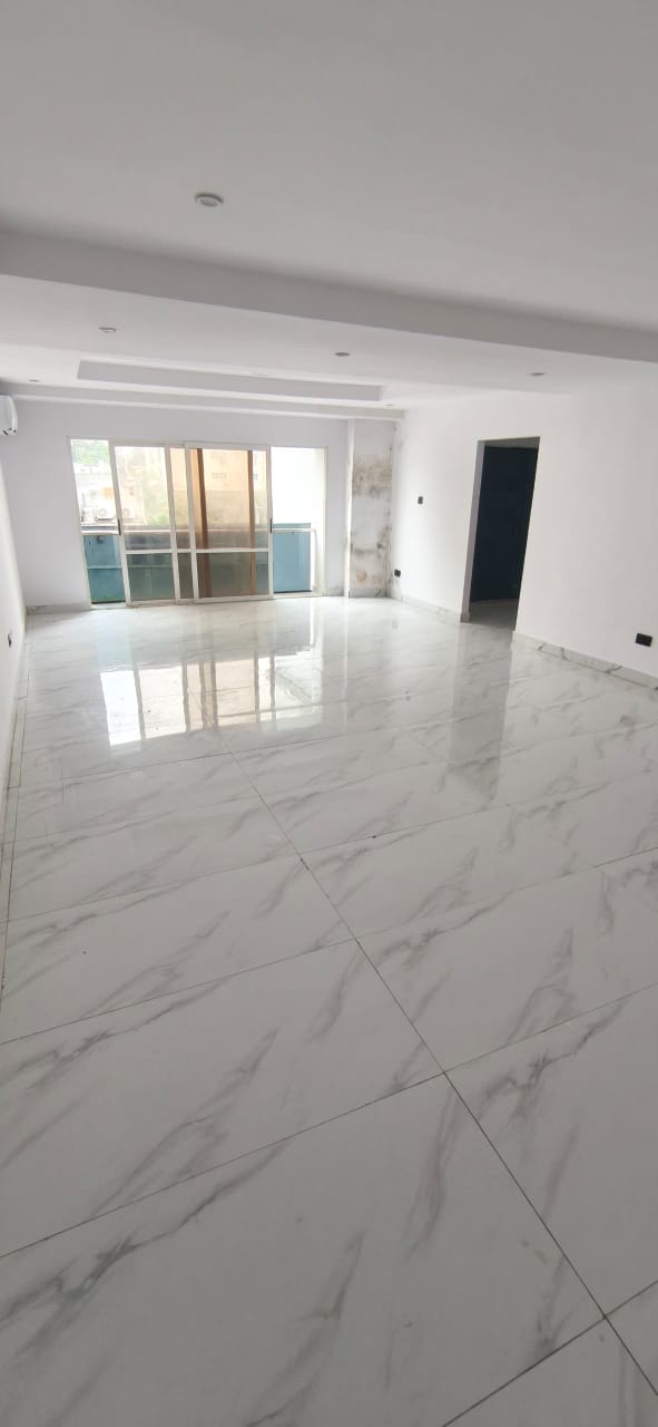 3 BEDROOM LUXURY APARTMENT – IKOYI