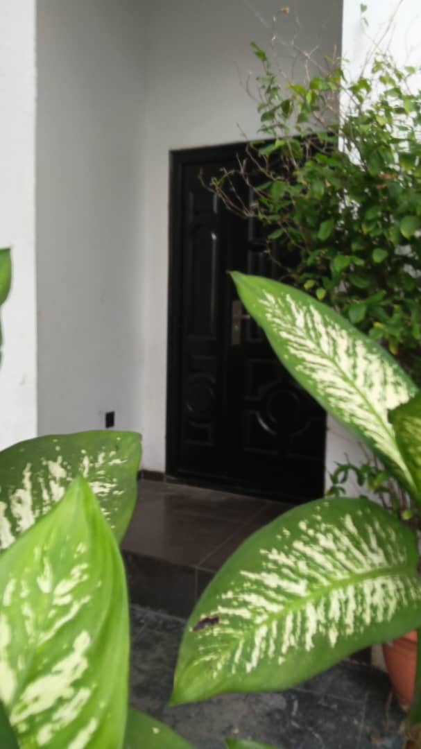 2 BEDROOM APARTMENT TO LET ON GROUND FLOOR